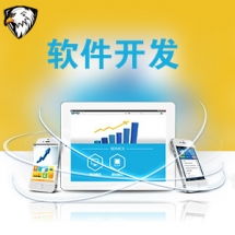 一品威客網軟件外包服務報價與收費解析 專業、透明、高性價比的開發選擇